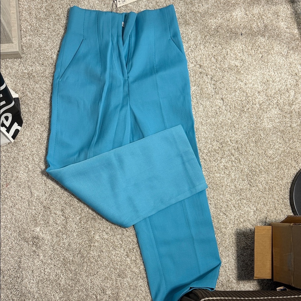 Zara Blue Women's Pants